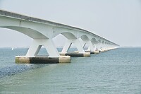 DSC08286-01