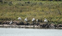 DSC08259-01