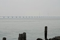 DSC08204-01