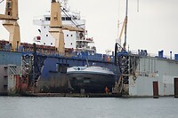 DSC08358-01