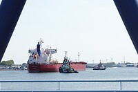 DSC08403-01