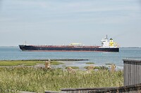 DSC08380-01