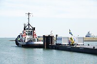 DSC08377-01