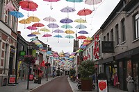 DSC08429-01