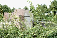 DSC08461-01