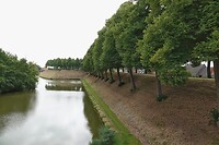 DSC08469-01