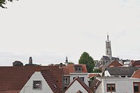 DSC08473-01