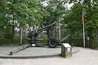 DSC08514-01