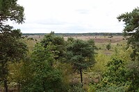 DSC08519-01