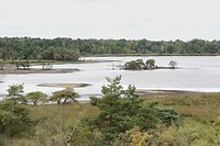DSC08525-01