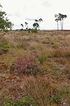 DSC08532-02