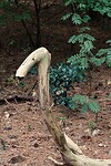 DSC08545-01
