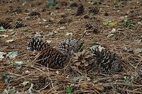 DSC08539-01