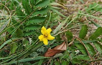 DSC08542-01