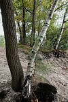 DSC08536-01