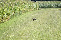 DSC08586-01
