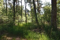 DSC08578-01