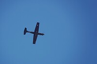 DSC08575-01