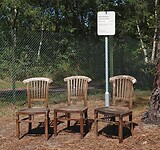 DSC08573-01