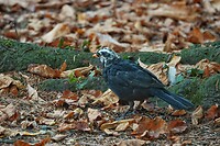 DSC08711-02