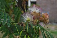 DSC08676-01