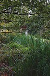 DSC08664-01