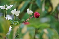 DSC08661-01