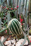 DSC08652-01