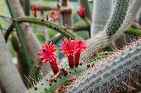 DSC08651-01