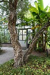 DSC08647-01