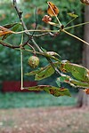 DSC08644-01