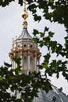 DSC08643-01