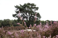 DSC08734-01