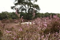 DSC08735-01