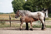 DSC08743-01