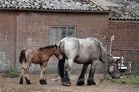 DSC08757-01