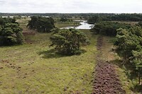 DSC08776-01