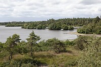 DSC08771-01