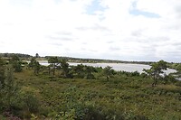 DSC08770-01