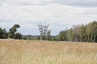 DSC08768-01
