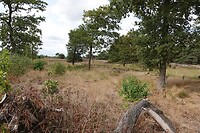 DSC08764-01