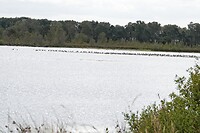 DSC08760-01