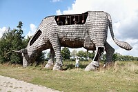 DSC08789-01