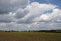 DSC08791-01