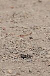 DSC08806-01