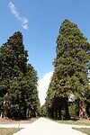 DSC08805-01