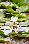 DSC08816-01