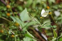DSC08832-01