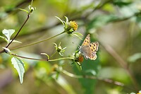 DSC08825-01
