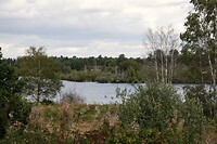 DSC08893-02